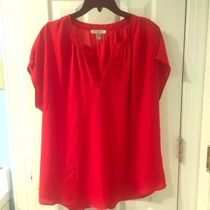 Roz & Ali Pleated V-Neck Short Sleeve Top